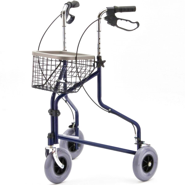 รถเข็นช่วยเดิน 3 ล้อ-rollator-FS969H-NT2324